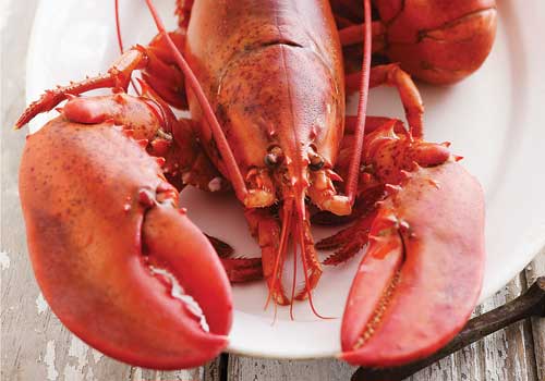 lobster-dinner